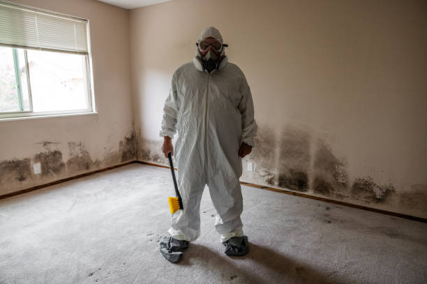 Certified Mold Removal in Stansberry Lake, WA